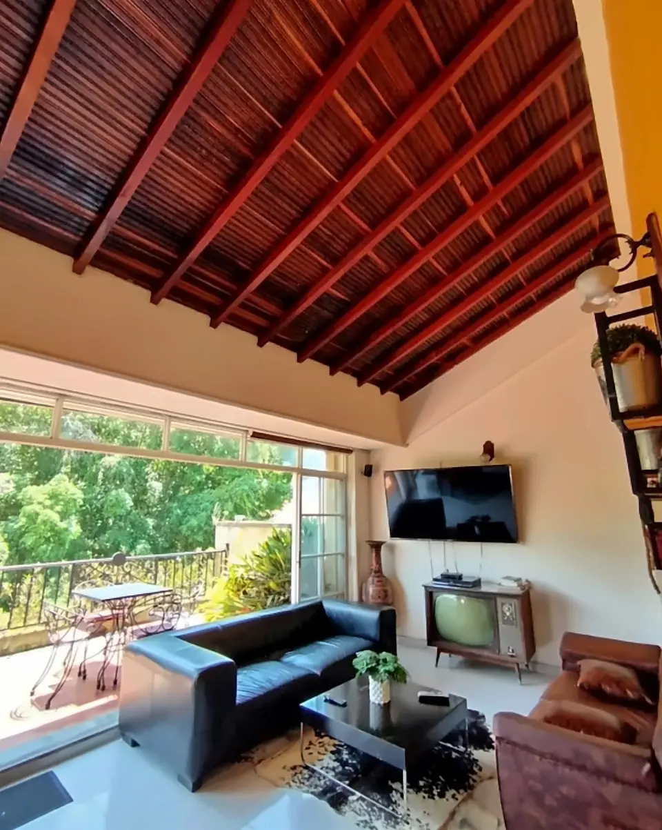 The lounge under a pitched wooden ceiling: black leather sofas, a cowhide rug, a vintage television and glass doors to a balcony with trees outside.
